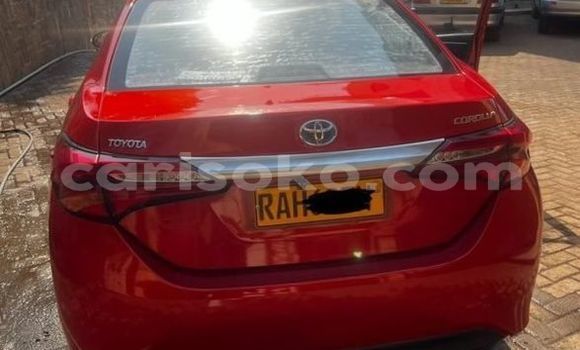 Buy Used Toyota Corolla Red Car in Kigali in Rwanda Buy Used Toyota Corolla Red Car in Kigali in Rwanda