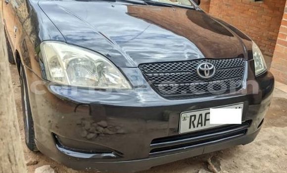 Acheter Occasion Voiture Toyota Corolla Noir à Kigali, Rwanda Acheter Occasion Voiture Toyota Corolla Noir à Kigali, Rwanda