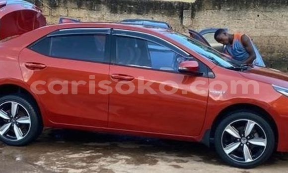Buy Used Toyota Corolla Brown Car in Kigali in Rwanda Buy Used Toyota Corolla Brown Car in Kigali in Rwanda