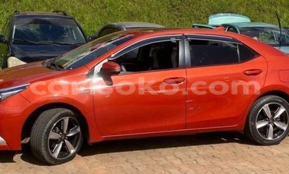 Buy Used Toyota Corolla Brown Car in Kigali in Rwanda Buy Used Toyota Corolla Brown Car in Kigali in Rwanda