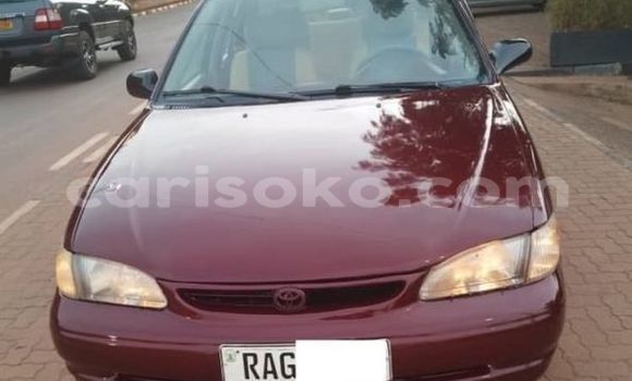 Acheter Occasion Voiture Toyota Corolla Rouge à Kigali, Rwanda Acheter Occasion Voiture Toyota Corolla Rouge à Kigali, Rwanda