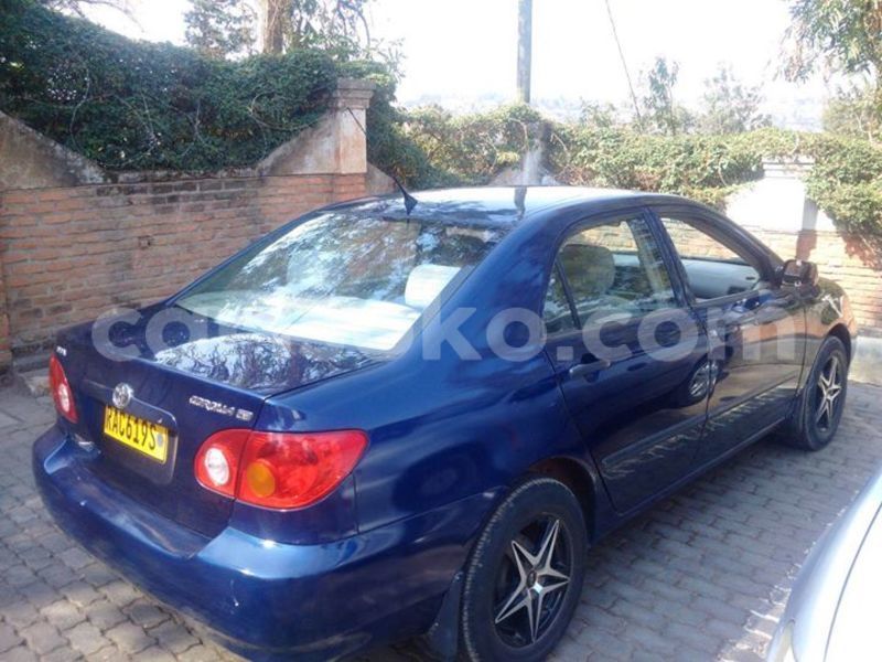 Big with watermark 14324596 10209113455147535 4826326470268354662 o