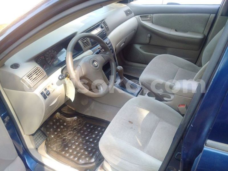 Big with watermark 14344360 195243170887525 1476089703380270021 n