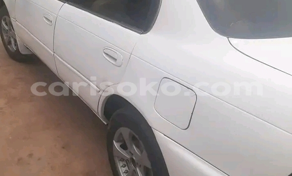 Sayi Na hannu Toyota Corolla Blanc Mota in Kigali a Rwanda Sayi Na hannu Toyota Corolla Blanc Mota in Kigali a Rwanda