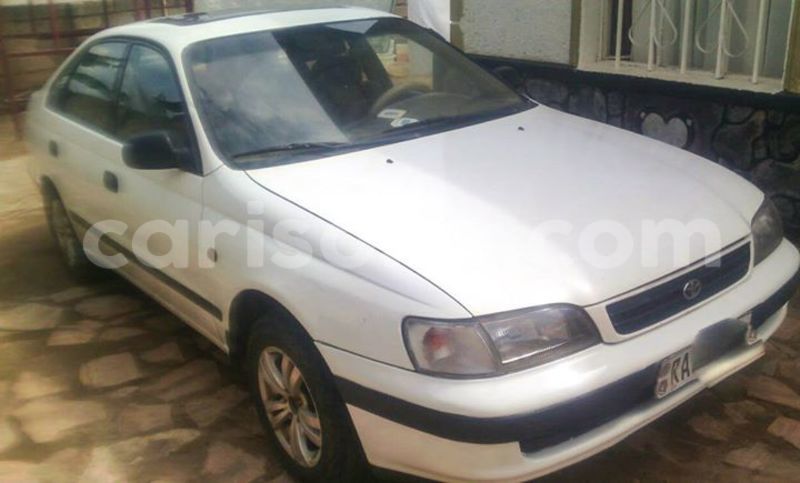 Big with watermark 14322753 152041765249206 4084601271133145777 n