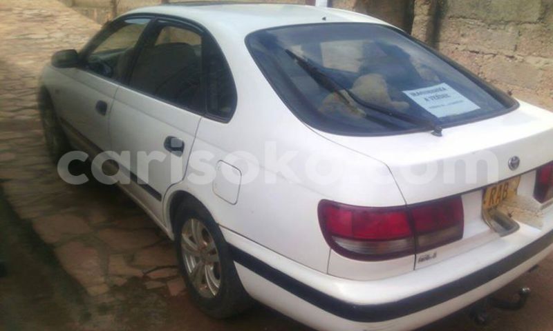 Big with watermark 14324596 10209113455147535 4826326470268354662 o