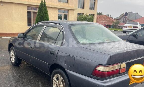 Acheter Occasion Voiture Toyota Allex Autre à Gasarenda, Rwanda Acheter Occasion Voiture Toyota Allex Autre à Gasarenda, Rwanda