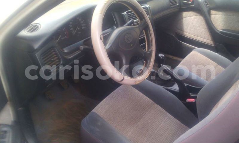 Big with watermark 14344360 195243170887525 1476089703380270021 n