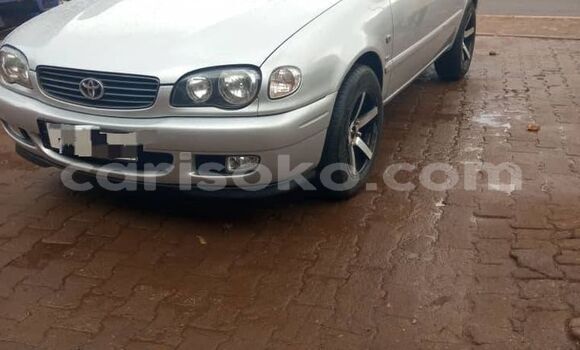 Buy Used Toyota Corolla Other Car in Cyangugu in Cyangugu Buy Used Toyota Corolla Other Car in Cyangugu in Cyangugu