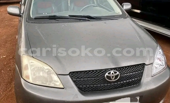Acheter Occasion Voiture Toyota Corolla Autre à Muhanga, Rwanda Acheter Occasion Voiture Toyota Corolla Autre à Muhanga, Rwanda