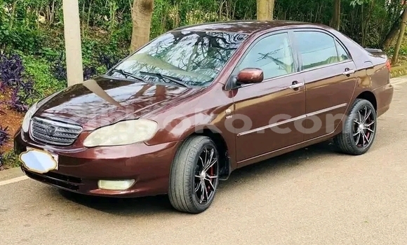 Acheter Occasion Voiture Toyota Corolla Rouge à Gikongoro, Gikongoro Acheter Occasion Voiture Toyota Corolla Rouge à Gikongoro, Gikongoro