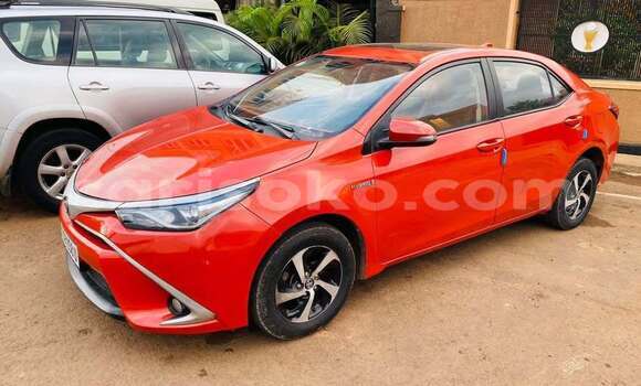 Buy Used Toyota Land Cruiser Other Car in Kigali in Rwanda Buy Used Toyota Land Cruiser Other Car in Kigali in Rwanda