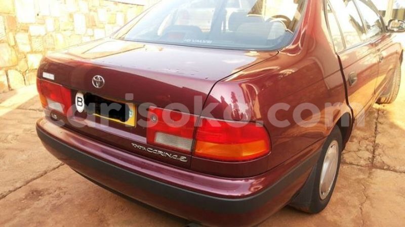 Big with watermark 14322753 152041765249206 4084601271133145777 n