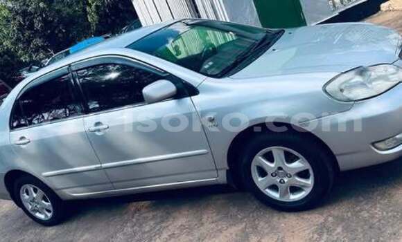 Buy Used Toyota Corolla Other Car in Kigali in Rwanda Buy Used Toyota Corolla Other Car in Kigali in Rwanda