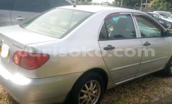 Buy Used Toyota Corolla Other Car in Kigali in Rwanda Buy Used Toyota Corolla Other Car in Kigali in Rwanda