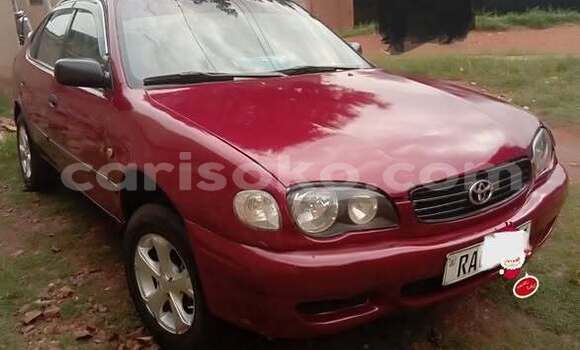 Buy Used Toyota Corolla Other Car in Kigali in Rwanda Buy Used Toyota Corolla Other Car in Kigali in Rwanda