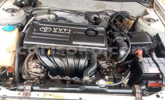 Buy Used Toyota Corolla Other Car in Kigali in Rwanda Buy Used Toyota Corolla Other Car in Kigali in Rwanda