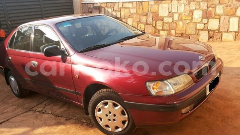 Big with watermark 14324596 10209113455147535 4826326470268354662 o