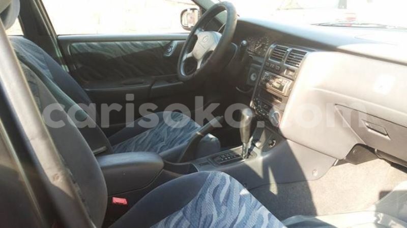 Big with watermark 14344360 195243170887525 1476089703380270021 n