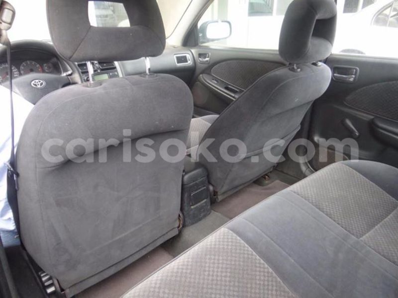 Big with watermark 14344360 195243170887525 1476089703380270021 n