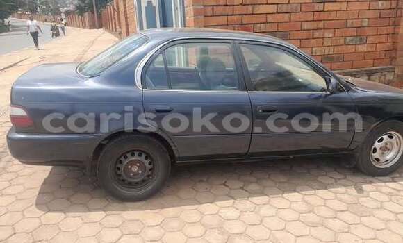 Buy Used Toyota Corolla Other Car in Kigali in Rwanda Buy Used Toyota Corolla Other Car in Kigali in Rwanda