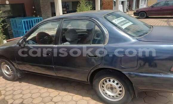 Buy Used Toyota Corolla Other Car in Kigali in Rwanda Buy Used Toyota Corolla Other Car in Kigali in Rwanda