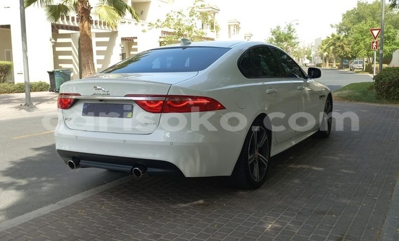 Buy Used Jaguar XF White Car in Kigali in Rwanda Buy Used Jaguar XF White Car in Kigali in Rwanda