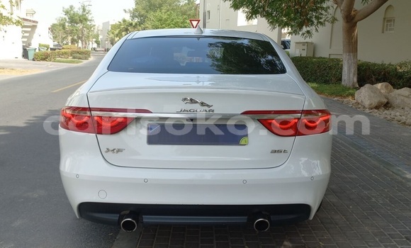 Buy Used Jaguar XF White Car in Kigali in Rwanda Buy Used Jaguar XF White Car in Kigali in Rwanda