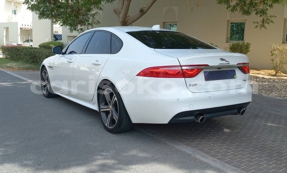 Buy Used Jaguar XF White Car in Kigali in Rwanda Buy Used Jaguar XF White Car in Kigali in Rwanda