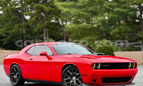 Buy Used Dodge Challenger Red Car in Kigali in Rwanda Buy Used Dodge Challenger Red Car in Kigali in Rwanda