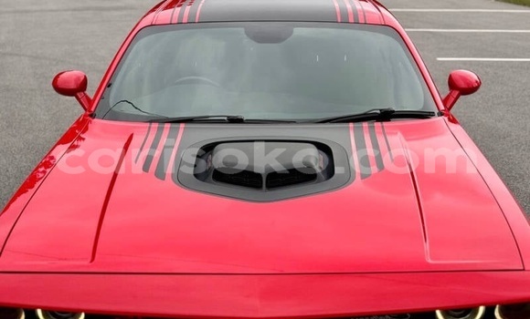 Buy Used Dodge Challenger Red Car in Kigali in Rwanda Buy Used Dodge Challenger Red Car in Kigali in Rwanda