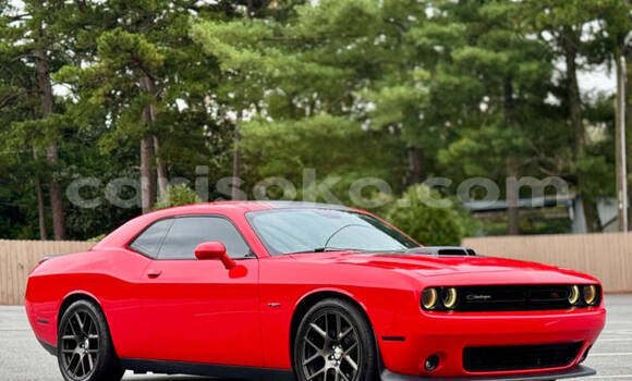 Buy Used Dodge Challenger Red Car in Kigali in Rwanda Buy Used Dodge Challenger Red Car in Kigali in Rwanda