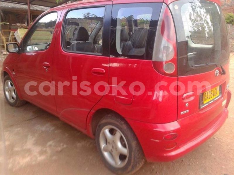 Big with watermark 14355616 1652943051684902 3641046762615807478 n