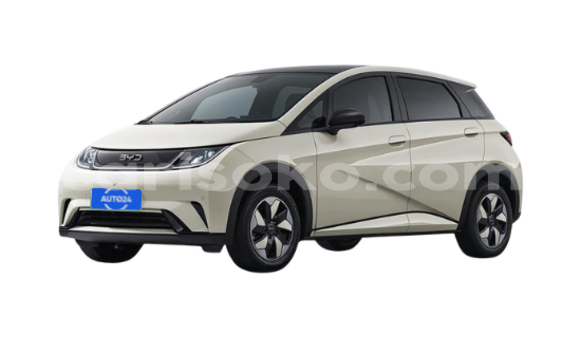 Acheter Neuf Voiture BYD Dolphin Autre à Kigali, Rwanda