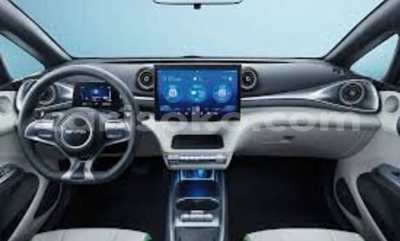 Acheter Neuf Voiture BYD Dolphin Autre à Kigali, Rwanda Acheter Neuf Voiture BYD Dolphin Autre à Kigali, Rwanda