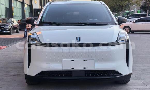 Acheter Neuf Voiture Faw City Golf White à Kigali, Rwanda