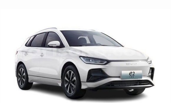 Acheter Import Voiture BYD Dolphin Blanc à Kigali, Rwanda