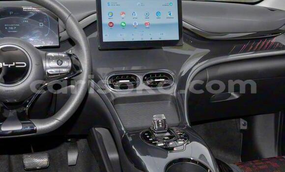 اشتري Imported BYD Dolphin Blanc سيارة في Kigali في Rwanda اشتري Imported BYD Dolphin Blanc سيارة في Kigali في Rwanda