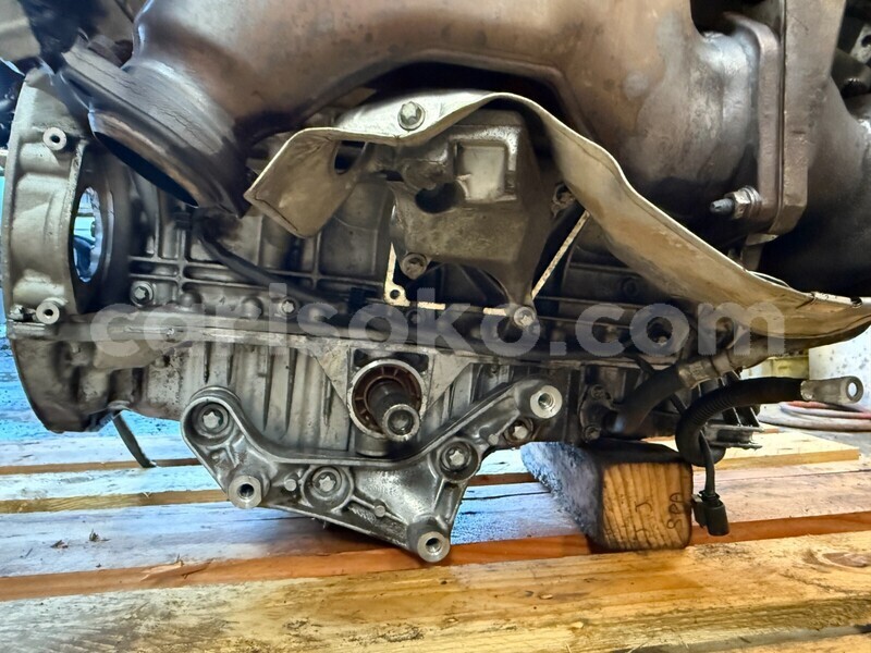 Big with watermark 8