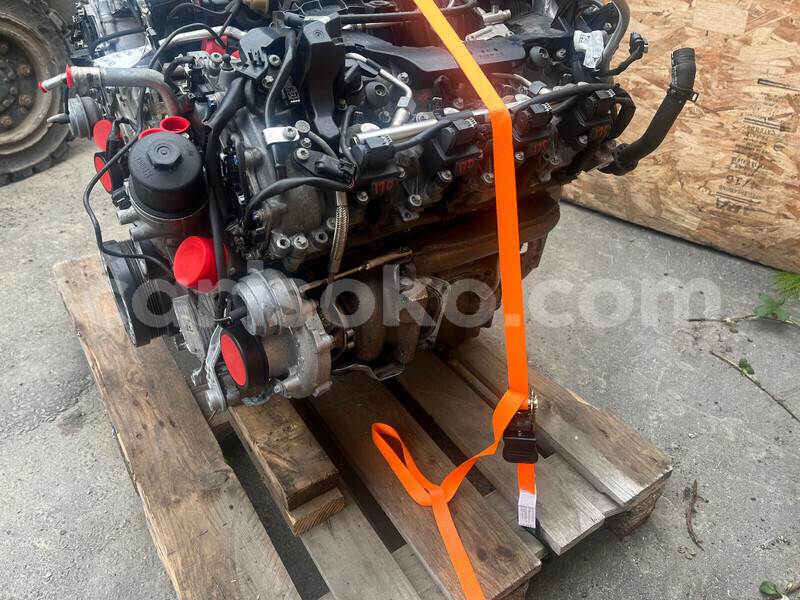 Big with watermark d