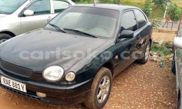 Buy Used Toyota Corolla Other Car in Kigali in Rwanda Buy Used Toyota Corolla Other Car in Kigali in Rwanda