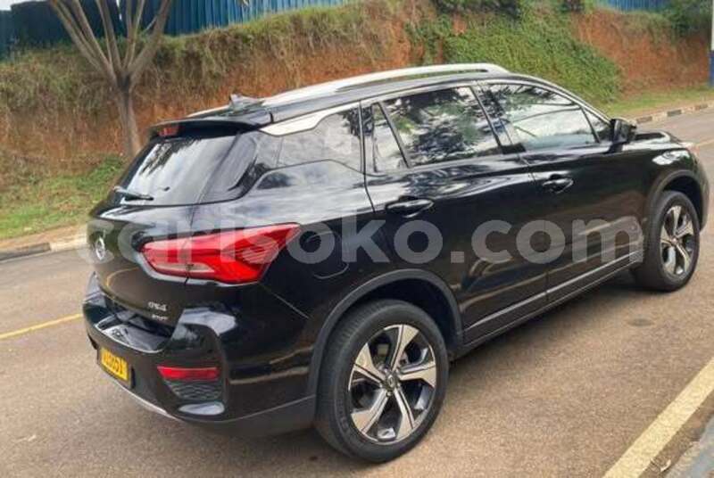 Big with watermark triumph stag rwanda kigali 19860