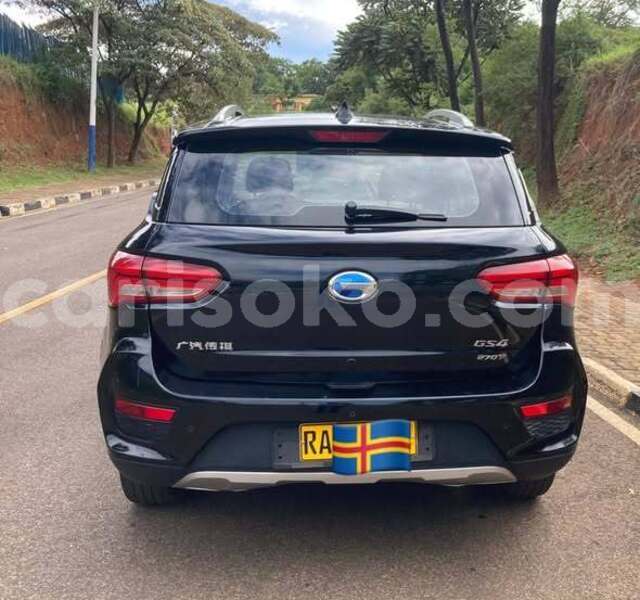 Big with watermark triumph stag rwanda kigali 19860