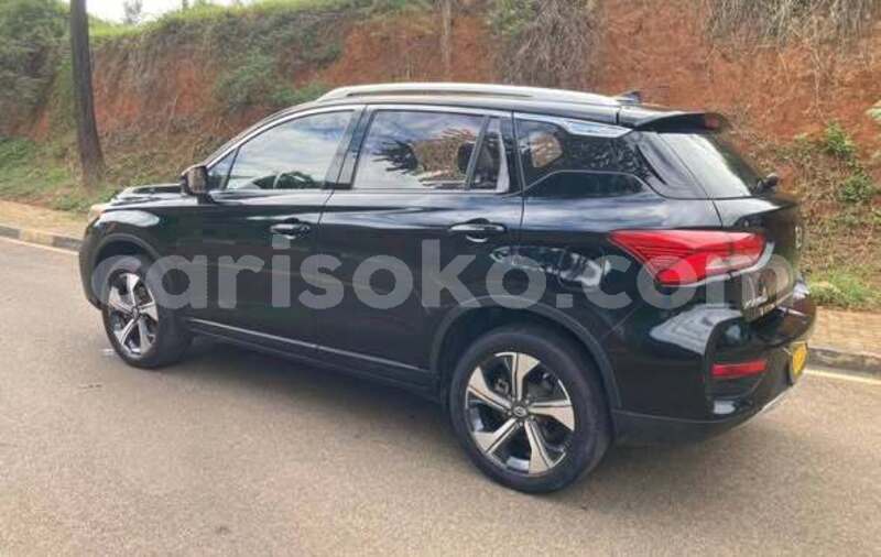 Big with watermark triumph stag rwanda kigali 19860