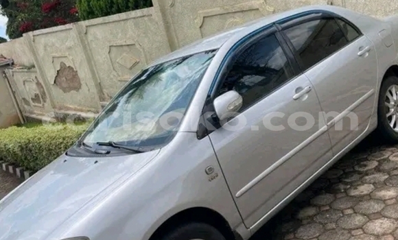 Acheter Occasion Voiture Toyota Altis White à Kigali, Rwanda Acheter Occasion Voiture Toyota Altis White à Kigali, Rwanda