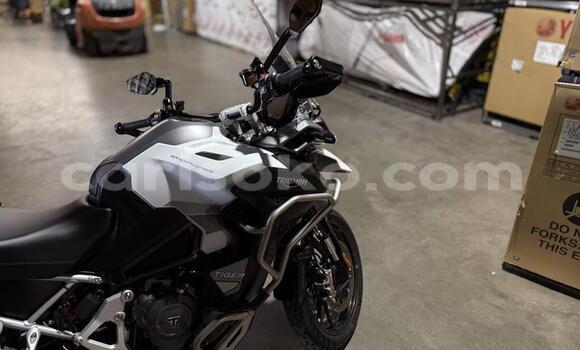 Acheter Occasion Moto Triumph Tiger Autre à Kigali, Rwanda Acheter Occasion Moto Triumph Tiger Autre à Kigali, Rwanda