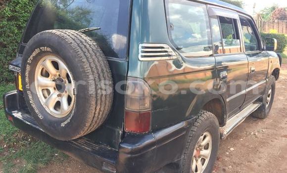 اشتري مستعمل Toyota Land Cruiser Prado سيارة في Gicumbi في Rwanda اشتري مستعمل Toyota Land Cruiser Prado سيارة في Gicumbi في Rwanda
