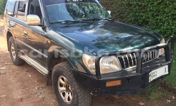 اشتري مستعمل Toyota Land Cruiser Prado سيارة في Gicumbi في Rwanda اشتري مستعمل Toyota Land Cruiser Prado سيارة في Gicumbi في Rwanda