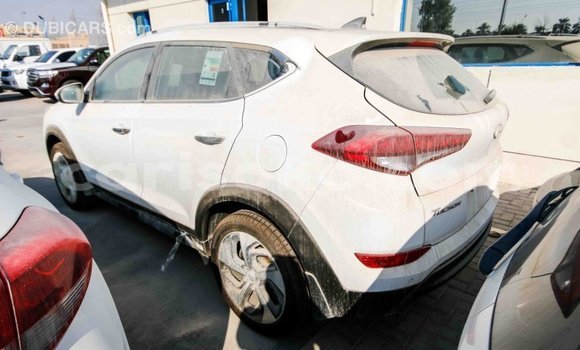 Acheter Import Voiture Hyundai Tucson Blanc à Import - Dubai, Rwanda Acheter Import Voiture Hyundai Tucson Blanc à Import - Dubai, Rwanda