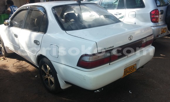 Acheter Neuf Voiture Toyota Corolla Blanc à Kigali, Rwanda